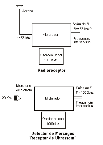 O detector de morcegos