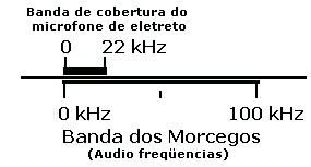 Sintonizando os morcegos